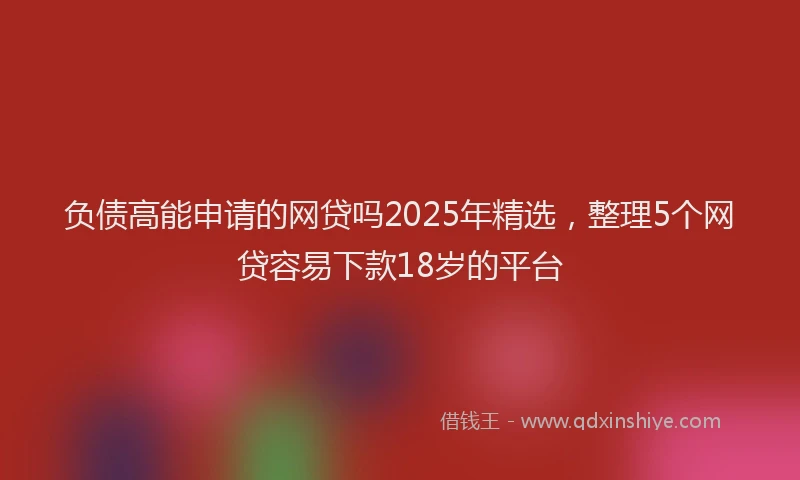 负债高能申请的网贷吗2025年精选，整理5个网贷容易下款18岁的平台