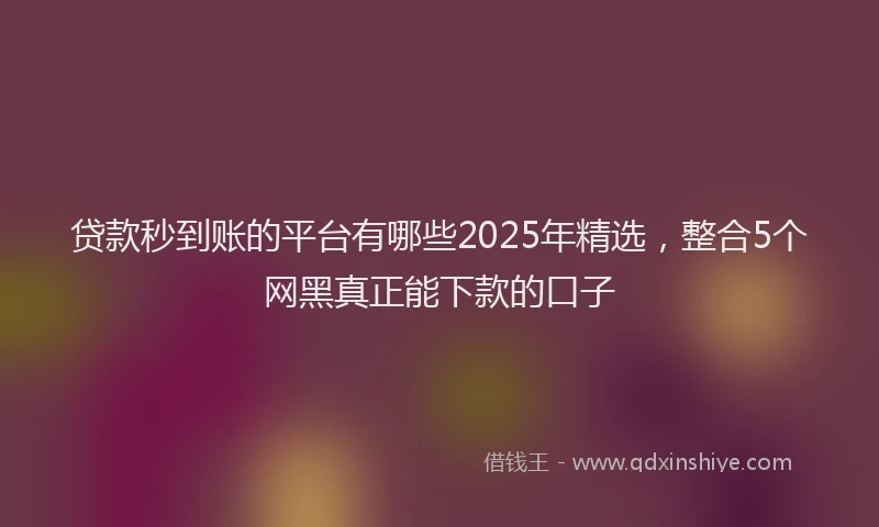 贷款秒到账的平台有哪些2025年精选，整合5个网黑真正能下款的口子
