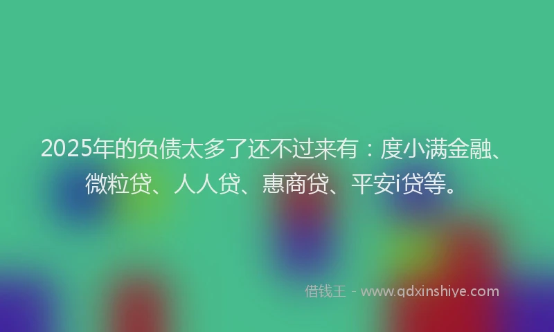 2025年的负债太多了还不过来有：度小满金融、微粒贷、人人贷、惠商贷、平安i贷等。