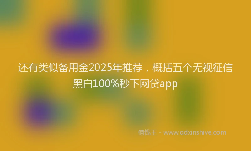 还有类似备用金2025年推荐，概括五个无视征信黑白100%秒下网贷app