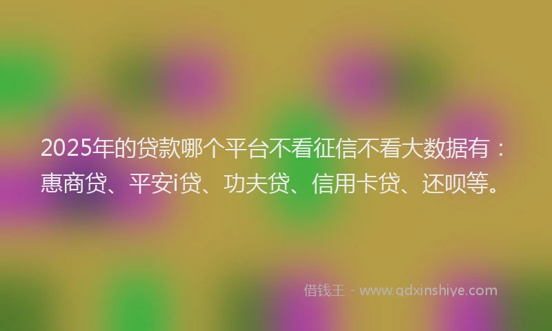 2025年的贷款哪个平台不看征信不看大数据有：惠商贷、平安i贷、功夫贷、信用卡贷、还呗等。