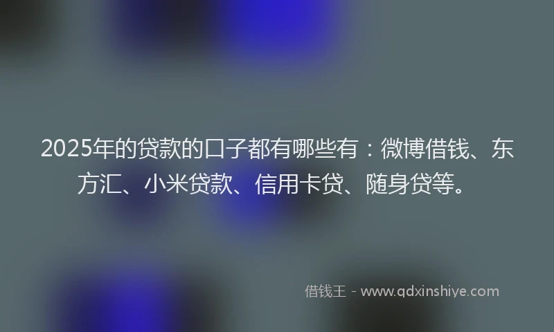 2025年的贷款的口子都有哪些有：微博借钱、东方汇、小米贷款、信用卡贷、随身贷等。
