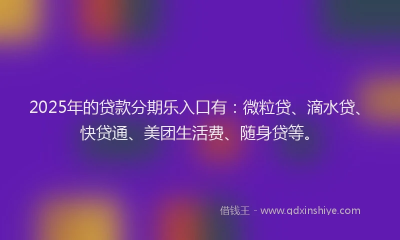 2025年的贷款分期乐入口有：微粒贷、滴水贷、快贷通、美团生活费、随身贷等。