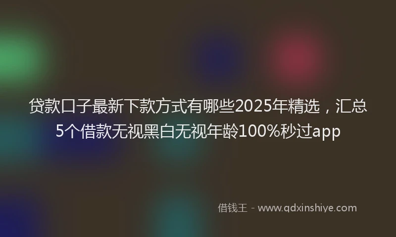 贷款口子最新下款方式有哪些2025年精选，汇总5个借款无视黑白无视年龄100%秒过app