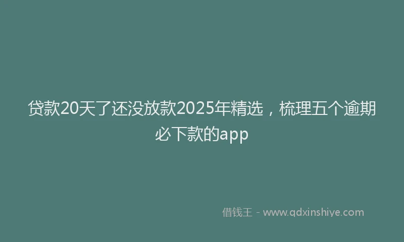 贷款20天了还没放款2025年精选，梳理五个逾期必下款的app