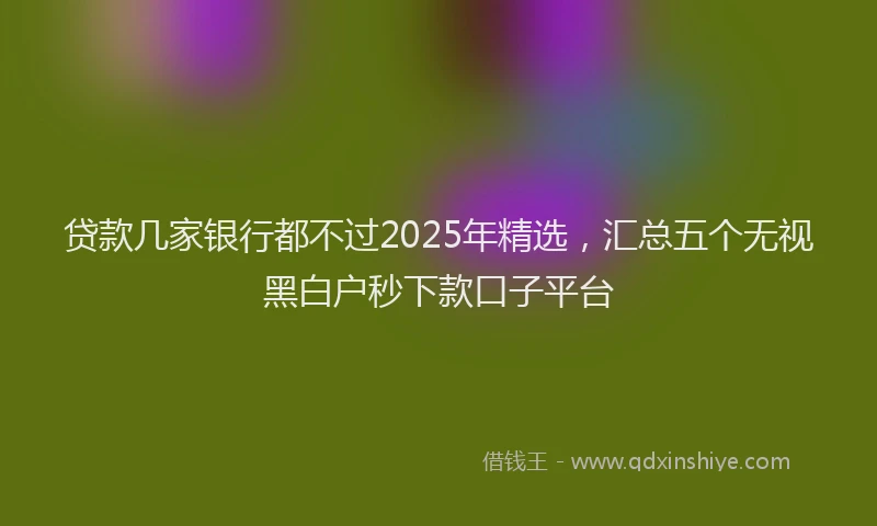 贷款几家银行都不过2025年精选，汇总五个无视黑白户秒下款口子平台