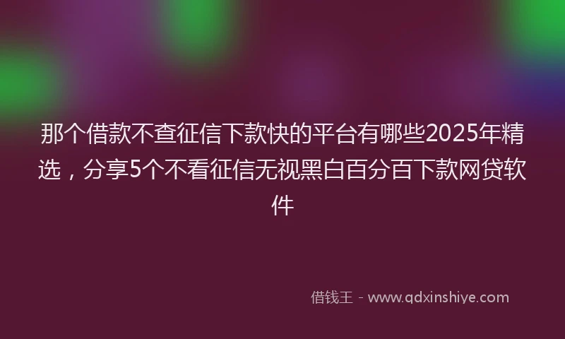 那个借款不查征信下款快的平台有哪些2025年精选，分享5个不看征信无视黑白百分百下款网贷软件