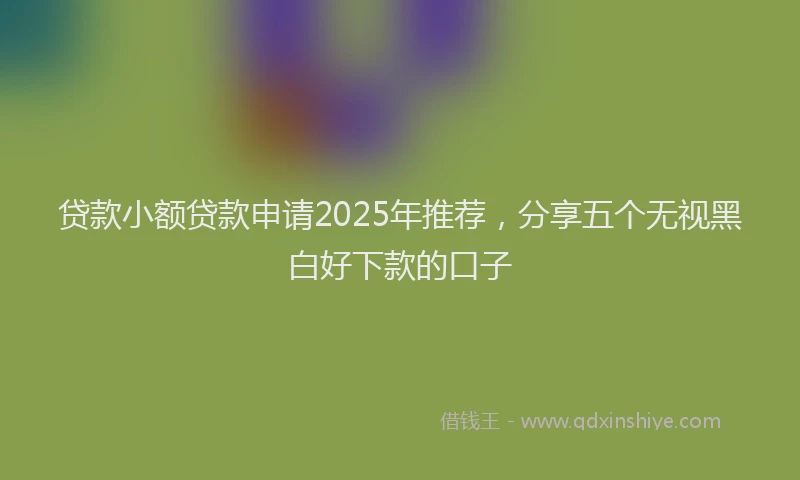 贷款小额贷款申请2025年推荐，分享五个无视黑白好下款的口子