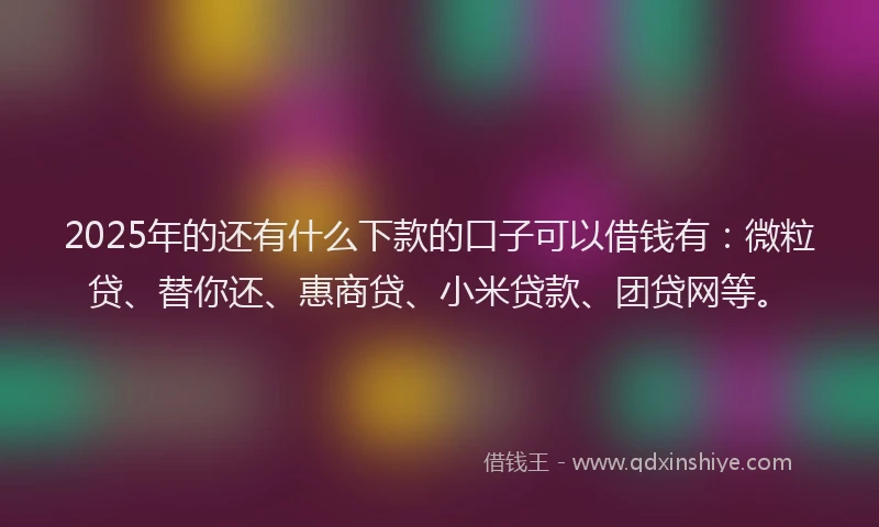 2025年的还有什么下款的口子可以借钱有：微粒贷、替你还、惠商贷、小米贷款、团贷网等。