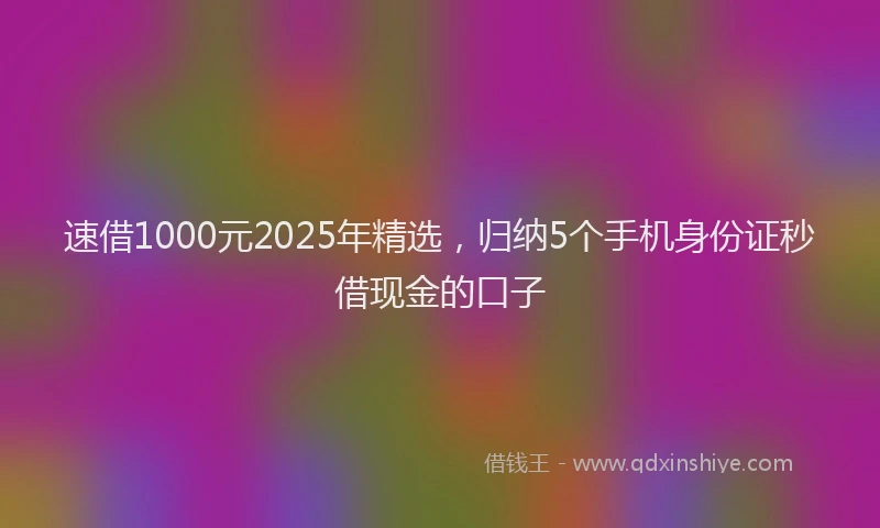 速借1000元2025年精选，归纳5个手机身份证秒借现金的口子