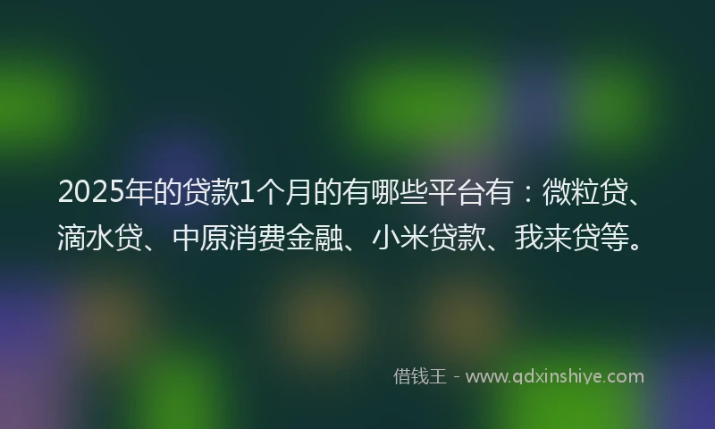 2025年的贷款1个月的有哪些平台有：微粒贷、滴水贷、中原消费金融、小米贷款、我来贷等。