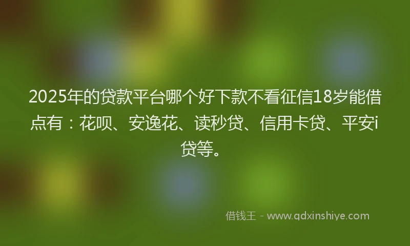 2025年的贷款平台哪个好下款不看征信18岁能借点有：花呗、安逸花、读秒贷、信用卡贷、平安i贷等。