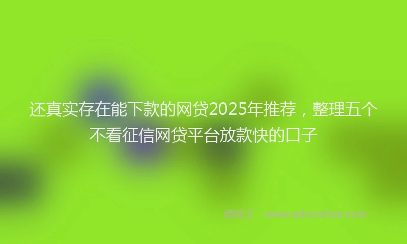 还真实存在能下款的网贷2025年推荐，整理五个不看征信网贷平台放款快的口子