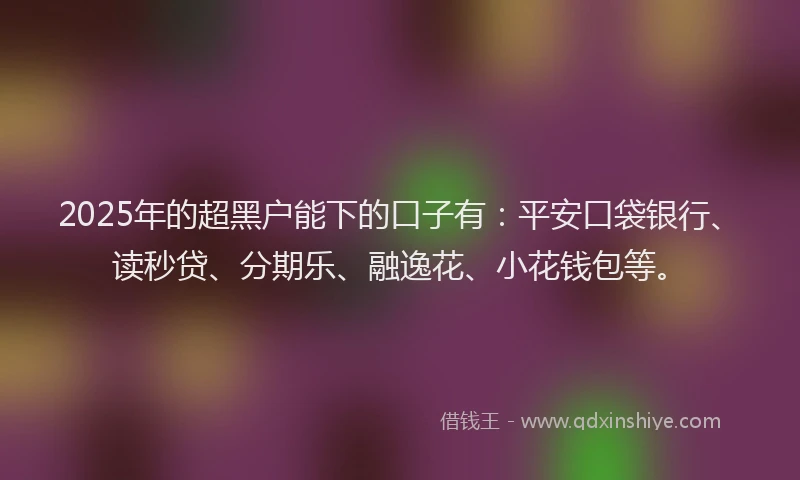 2025年的超黑户能下的口子有：平安口袋银行、读秒贷、分期乐、融逸花、小花钱包等。