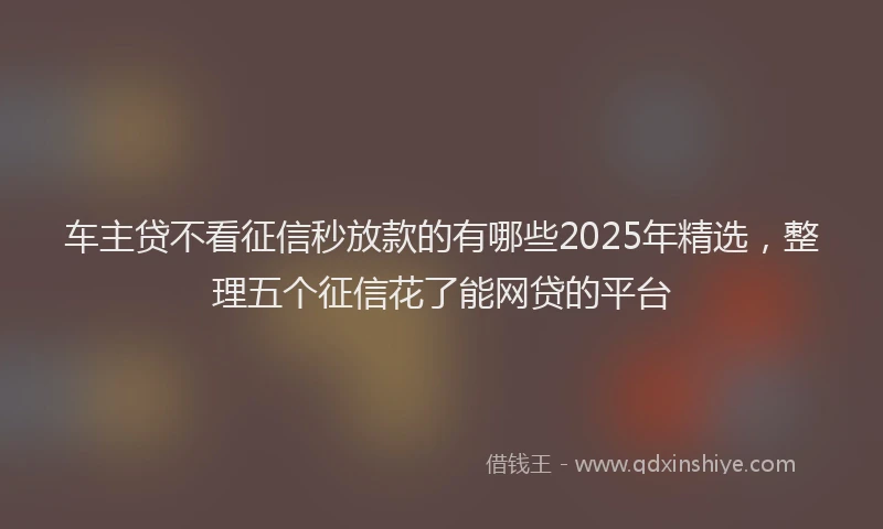 车主贷不看征信秒放款的有哪些2025年精选，整理五个征信花了能网贷的平台
