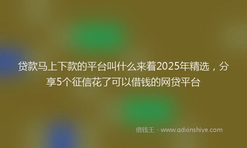 贷款马上下款的平台叫什么来着2025年精选，分享5个征信花了可以借钱的网贷平台