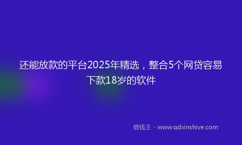 还能放款的平台2025年精选，整合5个网贷容易下款18岁的软件