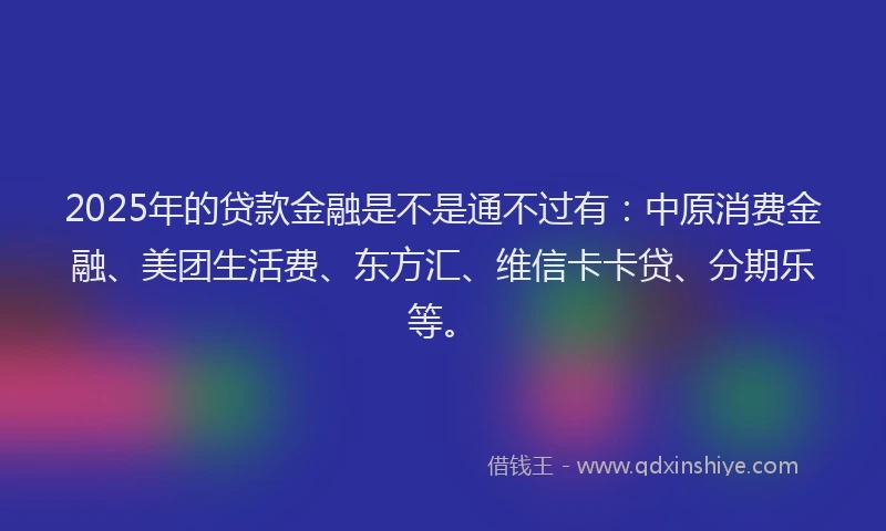 2025年的贷款金融是不是通不过有：中原消费金融、美团生活费、东方汇、维信卡卡贷、分期乐等。