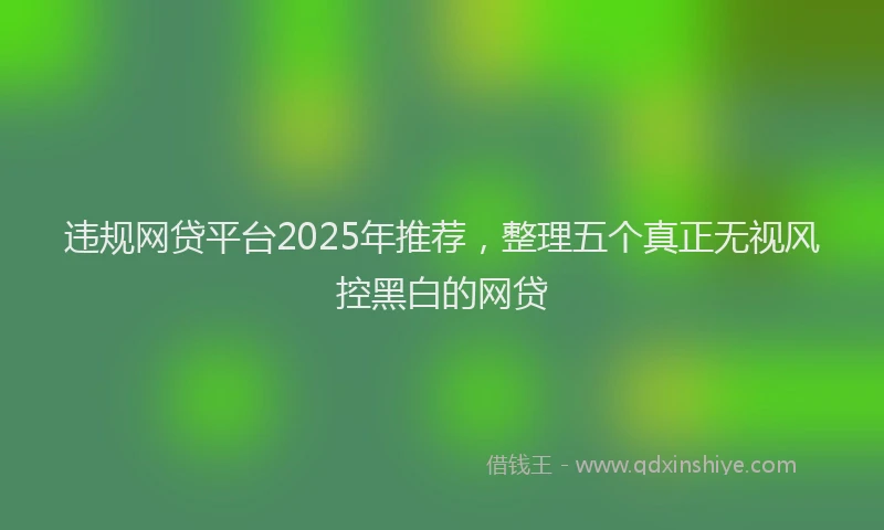 违规网贷平台2025年推荐，整理五个真正无视风控黑白的网贷