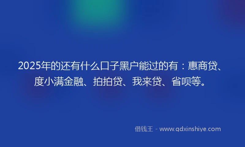 2025年的还有什么口子黑户能过的有：惠商贷、度小满金融、拍拍贷、我来贷、省呗等。