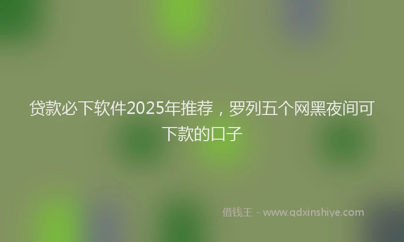 贷款必下软件2025年推荐，罗列五个网黑夜间可下款的口子