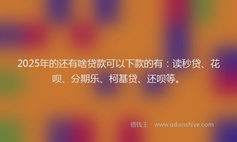 2025年的还有啥贷款可以下款的有：读秒贷、花呗、分期乐、柯基贷、还呗等。