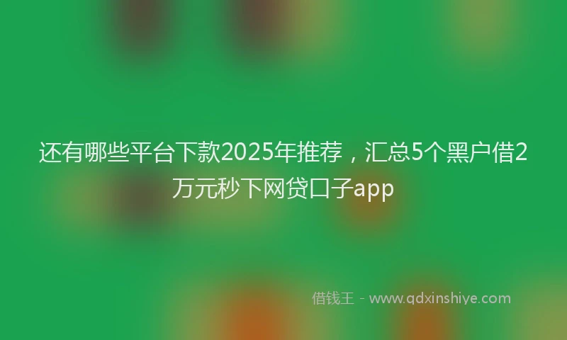 还有哪些平台下款2025年推荐，汇总5个黑户借2万元秒下网贷口子app