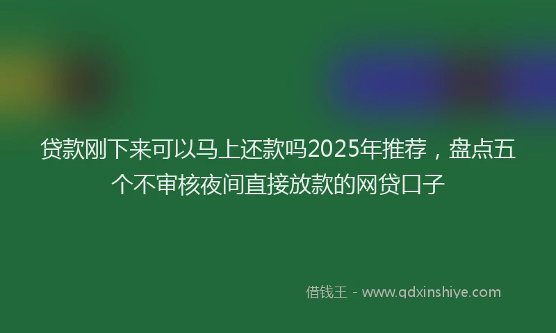 贷款刚下来可以马上还款吗2025年推荐，盘点五个不审核夜间直接放款的网贷口子