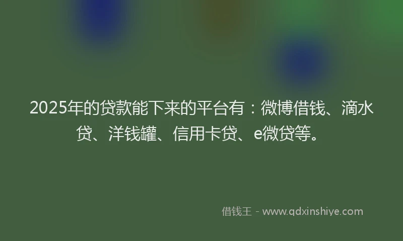 2025年的贷款能下来的平台有：微博借钱、滴水贷、洋钱罐、信用卡贷、e微贷等。