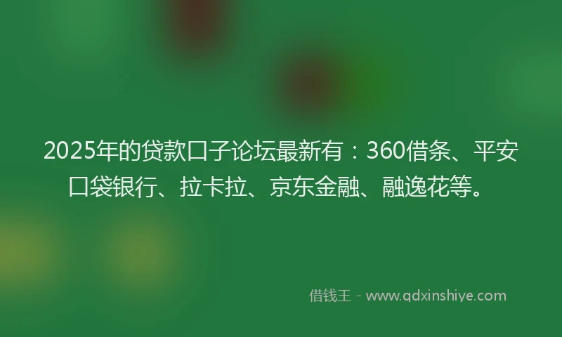 2025年的贷款口子论坛最新有：360借条、平安口袋银行、拉卡拉、京东金融、融逸花等。
