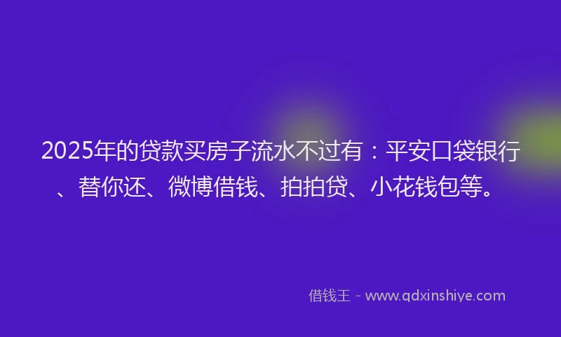 2025年的贷款买房子流水不过有：平安口袋银行、替你还、微博借钱、拍拍贷、小花钱包等。