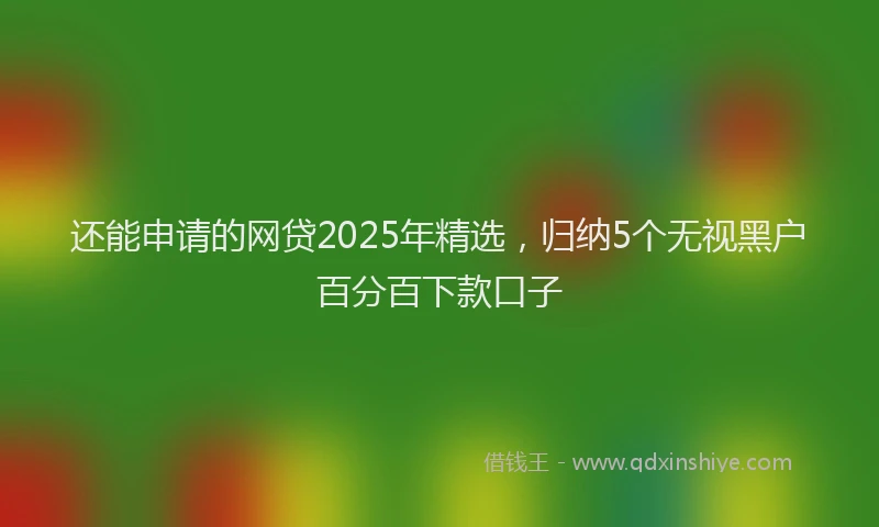 还能申请的网贷2025年精选，归纳5个无视黑户百分百下款口子
