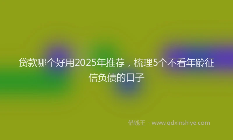 贷款哪个好用2025年推荐，梳理5个不看年龄征信负债的口子