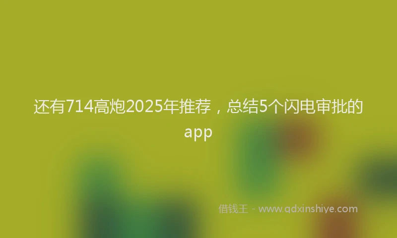 还有714高炮2025年推荐，总结5个闪电审批的app