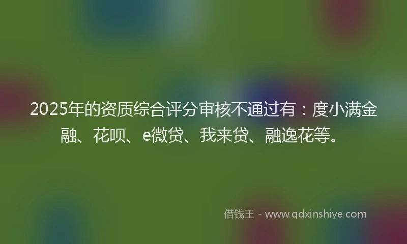 2025年的资质综合评分审核不通过有：度小满金融、花呗、e微贷、我来贷、融逸花等。