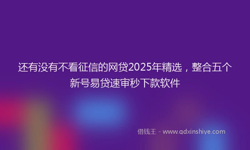 还有没有不看征信的网贷2025年精选，整合五个新号易贷速审秒下款软件