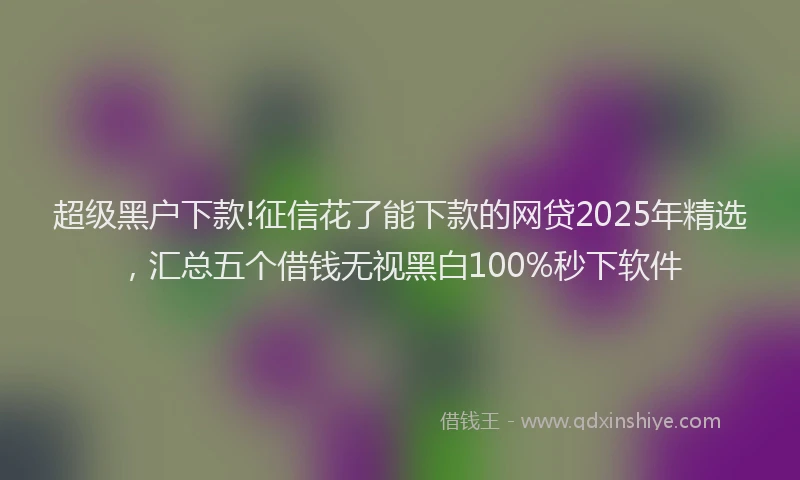 超级黑户下款!征信花了能下款的网贷2025年精选，汇总五个借钱无视黑白100%秒下软件