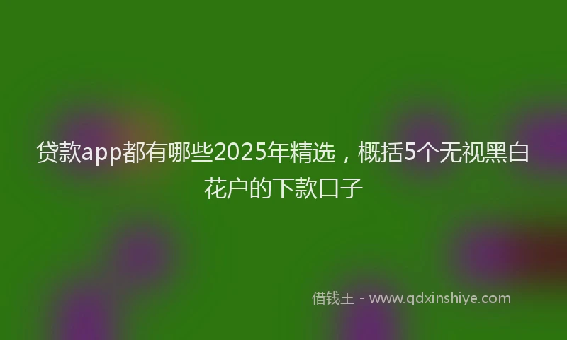 贷款app都有哪些2025年精选，概括5个无视黑白花户的下款口子
