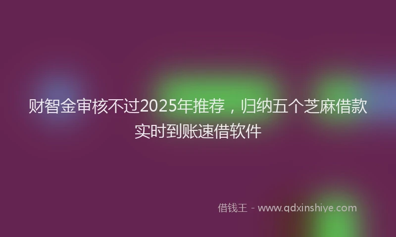 财智金审核不过2025年推荐，归纳五个芝麻借款实时到账速借软件