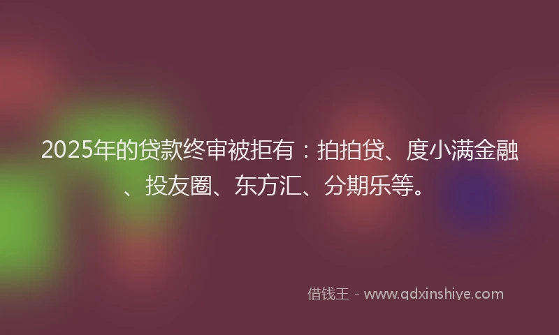 2025年的贷款终审被拒有：拍拍贷、度小满金融、投友圈、东方汇、分期乐等。