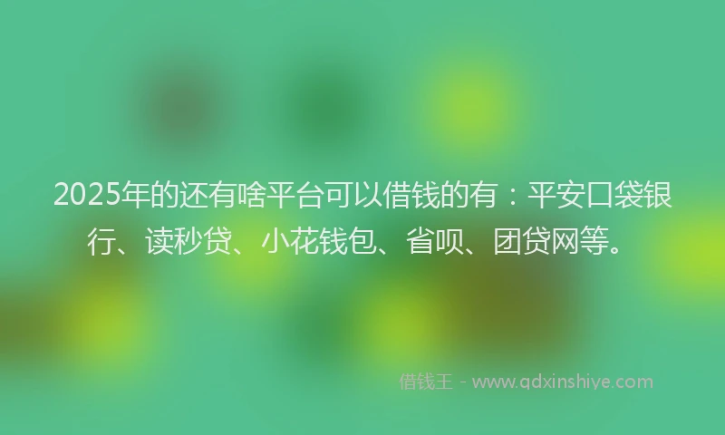 2025年的还有啥平台可以借钱的有：平安口袋银行、读秒贷、小花钱包、省呗、团贷网等。