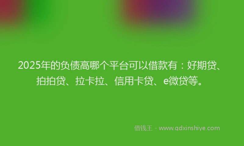 2025年的负债高哪个平台可以借款有：好期贷、拍拍贷、拉卡拉、信用卡贷、e微贷等。