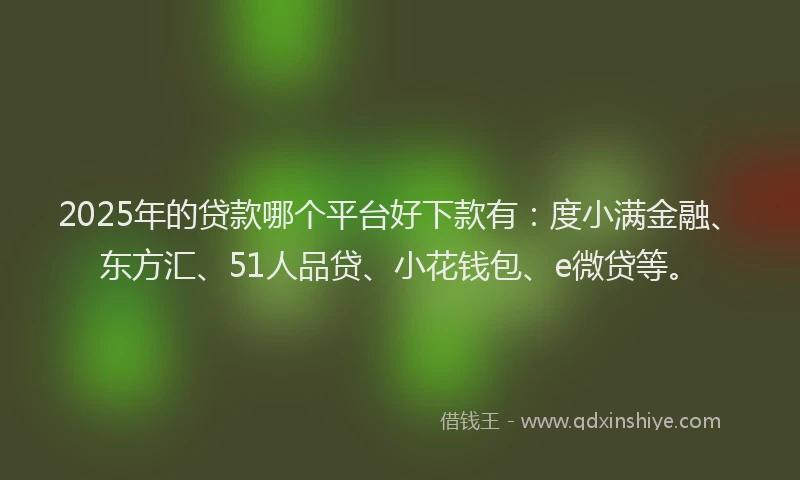 2025年的贷款哪个平台好下款有：度小满金融、东方汇、51人品贷、小花钱包、e微贷等。
