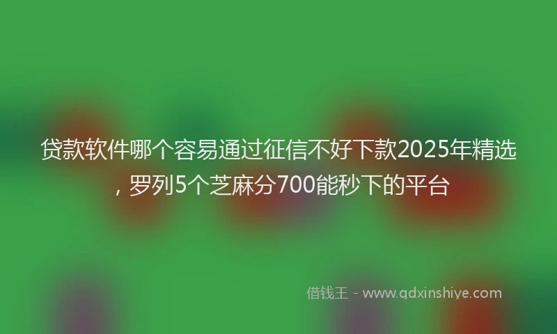 贷款软件哪个容易通过征信不好下款2025年精选，罗列5个芝麻分700能秒下的平台