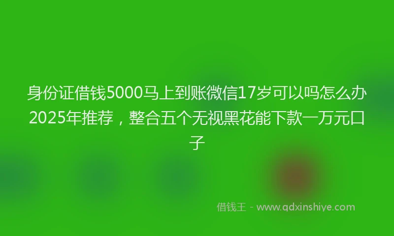 身份证借钱5000马上到账微信17岁可以吗怎么办2025年推荐，整合五个无视黑花能下款一万元口子