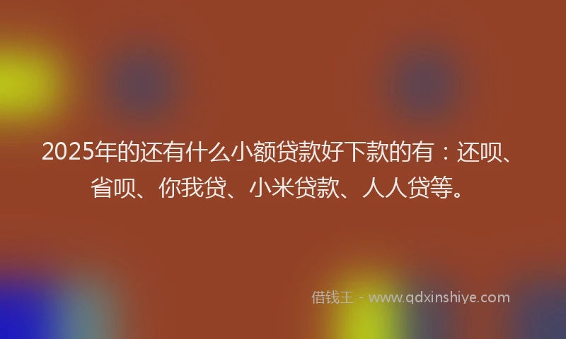 2025年的还有什么小额贷款好下款的有：还呗、省呗、你我贷、小米贷款、人人贷等。