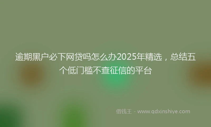 逾期黑户必下网贷吗怎么办2025年精选，总结五个低门槛不查征信的平台