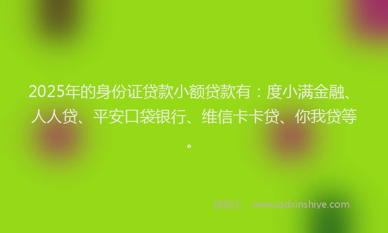 2025年的身份证贷款小额贷款有：度小满金融、人人贷、平安口袋银行、维信卡卡贷、你我贷等。