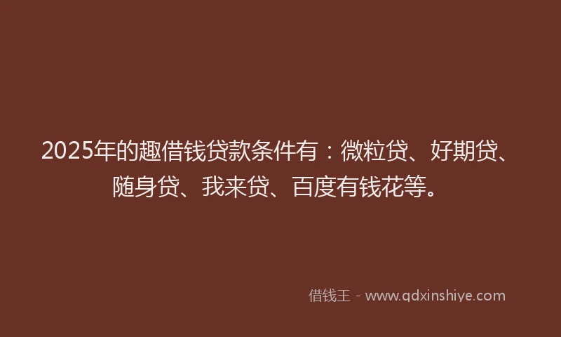 2025年的趣借钱贷款条件有：微粒贷、好期贷、随身贷、我来贷、百度有钱花等。