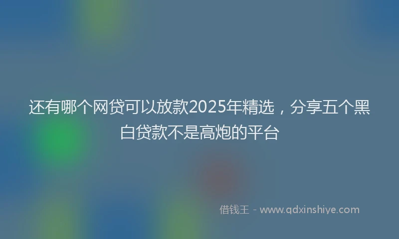 还有哪个网贷可以放款2025年精选，分享五个黑白贷款不是高炮的平台